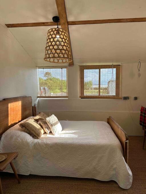 Cosy Cabane Boise Solaire, Balneo Bath Et Toilette Seche A La Ferme Mimizan-Plage Екстериор снимка