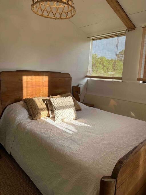 Cosy Cabane Boise Solaire, Balneo Bath Et Toilette Seche A La Ferme Mimizan-Plage Екстериор снимка